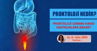 Proktoloji nedir