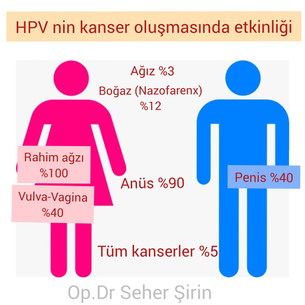 HPV Kanser Yapar mı