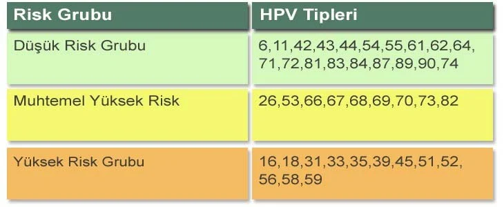 HPV tipleri